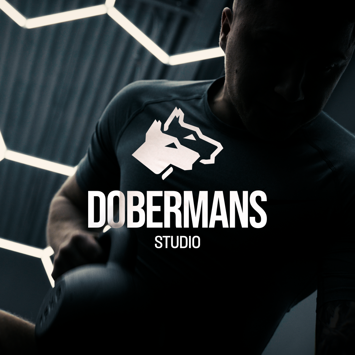 Dobermans Studio